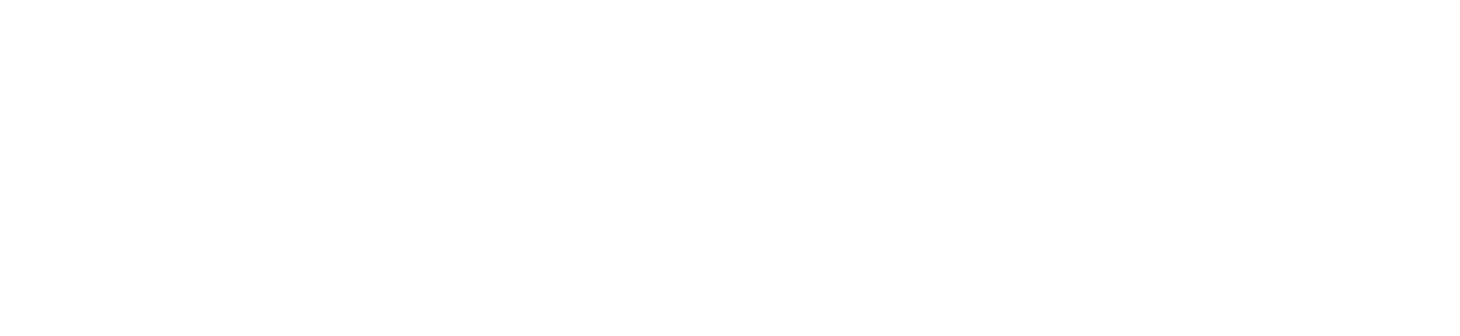oldice max logo